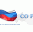Людмила Огородова рассказала о научно-технологическом развитии региона на собрании Сибирского отделения РАН - Администрация Томской области