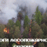 Причинами лесных пожаров в 2025 году чаще всего были грозы и человеческий фактор - Администрация Томской области