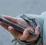 LTE-сеть обновили в Стрежевом - ГТРК Томск