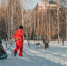 Оттепели и мороз под −30°C ожидаются в Томске в начале декабря - Tomsk.Ru