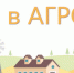 Приём заявок на Всероссийский конкурс «Я в Агро» продолжается по всей стране - Департамент по социально-экономическому развитию села