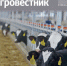Вышел новогодний номер журнала «Томский агровестник» - Департамент по социально-экономическому развитию села