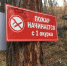 Томичам напомнили: неосторожность с сигаретой — частая причина пожаров - Комсомольская Правда