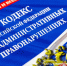 В России выросли штрафы за нарушение правил перевозки детей в авто - News.VTomske.Ru