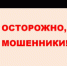 Что делать, если обманули мошенники - Департамент лесного хозяйства