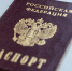Обязательную присягу для новых граждан РФ ввели с 14 лет - Tomsk.Ru