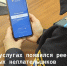 На Госуслугах заработал реестр злостных неплательщиков алиментов - УФССП России