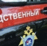 В Томске проводится проверка по факту гибели двух человек в результате пожара в селе Тимирязевском - Следственный комитет