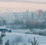Фоторепортаж: Томск сковали январские морозы - Tomsk.Ru