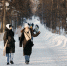 Морозы до –30°С ожидаются в Томске в первой декаде февраля - Tomsk.Ru