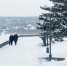 Томск испытает температурную «турбулентность» в середине февраля - Tomsk.Ru