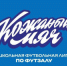 «Кожаный мяч – Школьная футбольная лига»: межрегиональный этап всероссийских соревнований продолжается - Департамент спорта