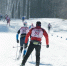 Томские спортсменки выступят на чемпионате России по лыжным гонкам - Tomsk.Ru