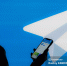 Власти готовятся полностью заблокировать Telegram в России. Собрали все, что об этом известно - News.VTomske.Ru
