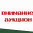 Внимание! Объявлен аукцион - Департамент природных ресурсов и охраны окружающей среды