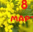 школа библиотечной инноватики - МИБС г. Томска