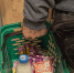 Огурцы, чеснок, морковь: какие продукты подорожали в корзине томичей? - ГТРК Томск