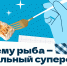 Почему рыба - идеальный суперфуд? - Департамент охотничьего и рыбного хозяйства
