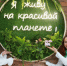 В Томской области состоится экофестиваль «Я живу на красивой планете» - Департамент лесного хозяйства
