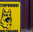 Алабай напал на школьницу в Лоскутове. СК возбудил дело - News.VTomske.Ru