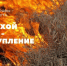 Росгвардия напоминает о мерах пожарной безопасности в весенне-летний период - Росгвардия