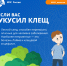 Не дай клещам испортить весенний отдых: советы от МЧС России - МЧС России