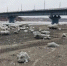 Вода в Томи упала на треть метра за сутки - Комсомольская Правда