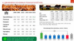 Программа Победы КПРФ – ключ к успеху в выборной кампании 2026 года