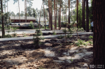 Благоустройство общественных пространств в Томске идет с частичным опережением графика