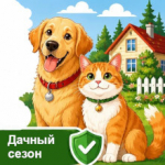 Внимание, владельцы собак и кошек: напоминаем о правилах содержания животных на даче