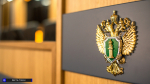 Северчанин получил пять лет за самодельный пистолет