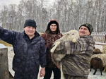 Грант «Агростартап» помогает кожевниковскому фермеру наращивать поголовье герефордов