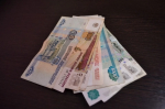 Собственник 6,7 гектара земли в Томском районе оштрафован за мусор на участке